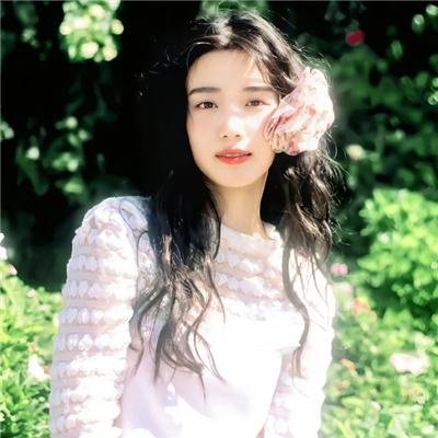 豚鼠特攻队